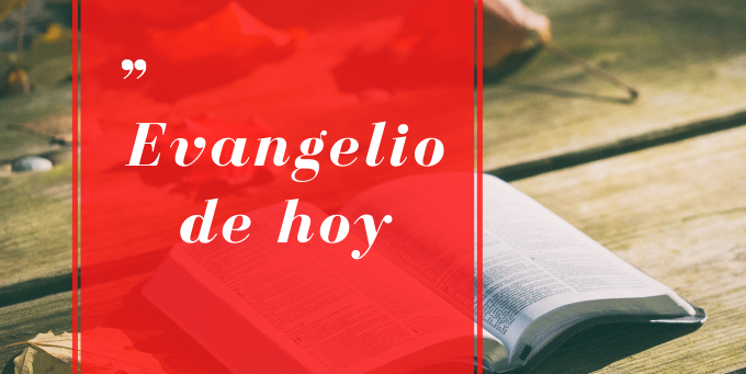 EVANGELIO DE HOY 04/MAYO/2022 | Arquidiócesis de Bogotá